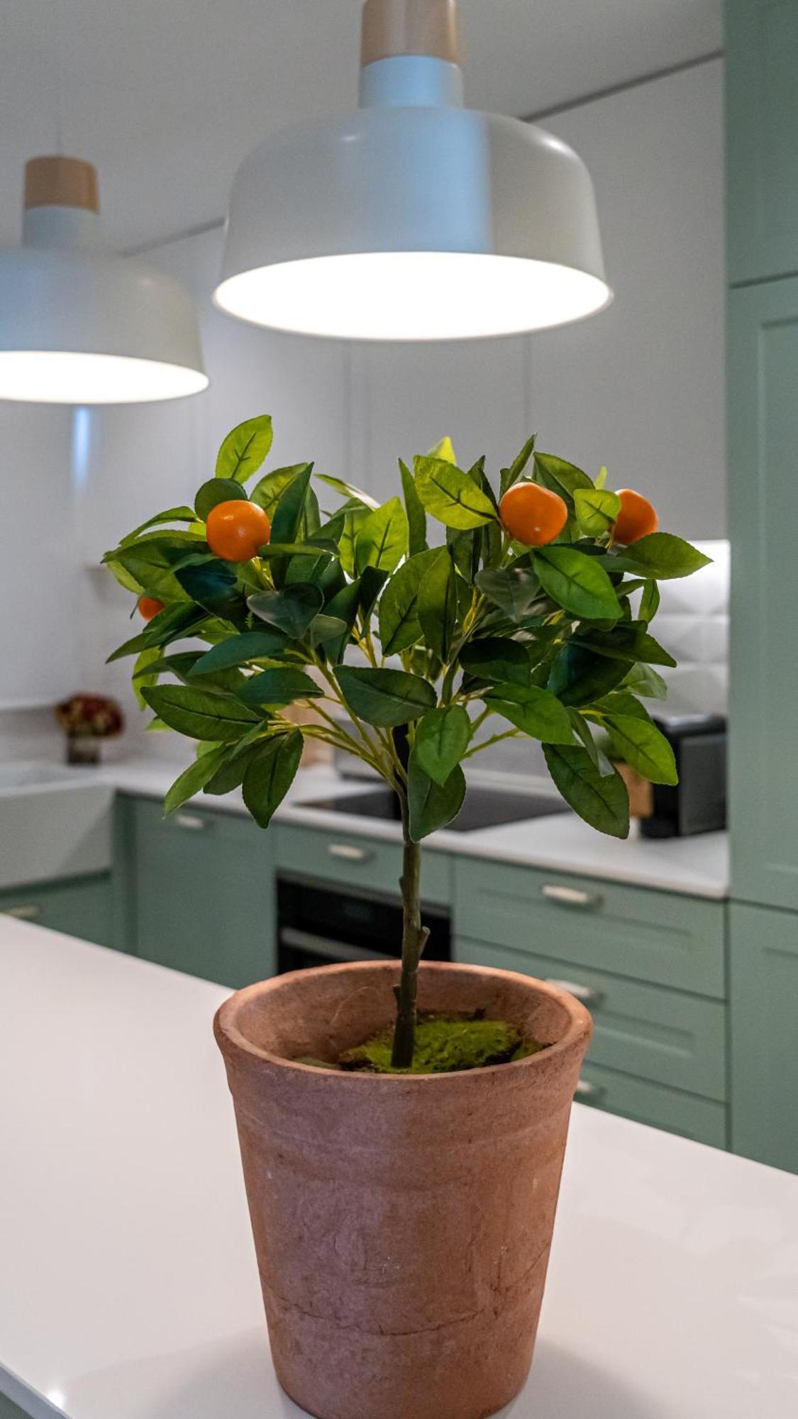 T2 Dina'S Place نازاريه المظهر الخارجي الصورة
